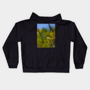 Beach Mangrove 3 Kids Hoodie